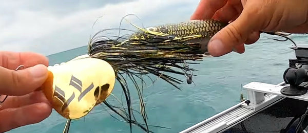 9/10 Double Boilermaker